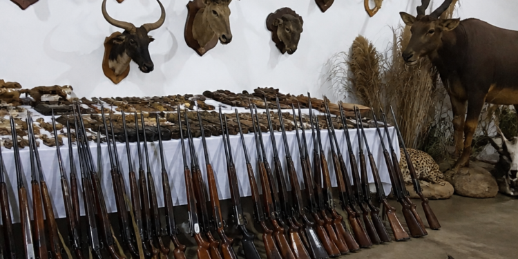 Operativo en Entre Ríos: millonario decomiso de armas y animales disecados en un coto de caza