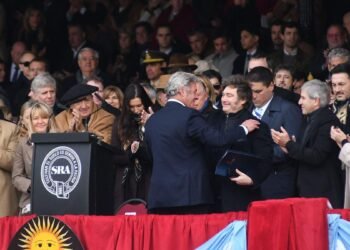Retenciones, infraestructura y financiamiento: el reclamo de Nicolás Pino a Javier Milei en la Rural
