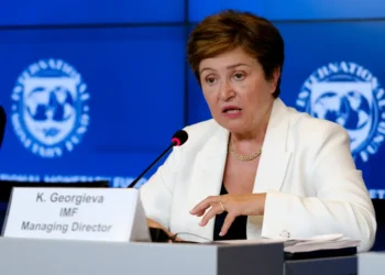 Georgieva aborda el uso de los fondos del FGS de ANSES