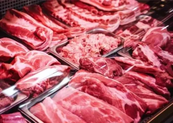 La reducción del consumo de carne vacuna en Argentina: una caída del 12% en 2023
