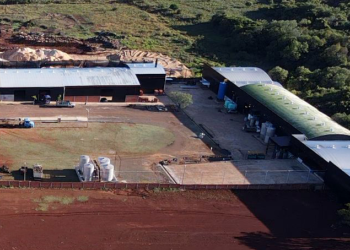 Un grupo brasileño se establece en Misiones con una innovadora propuesta para la mandioca