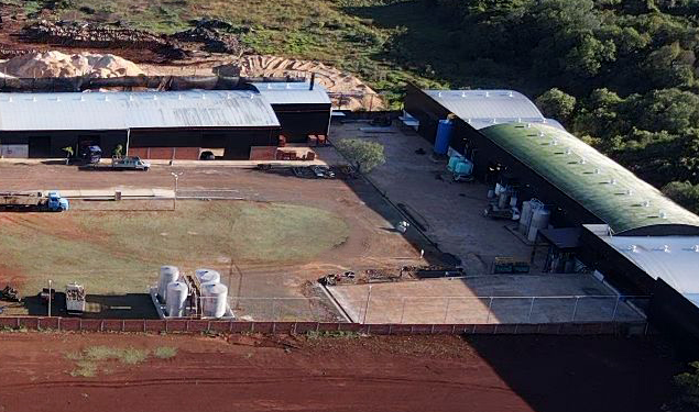 Un grupo brasileño se establece en Misiones con una innovadora propuesta para la mandioca