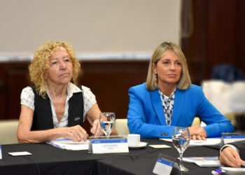 Fentanilo: ex directora de la ANMAT solicita ampliar su declaración