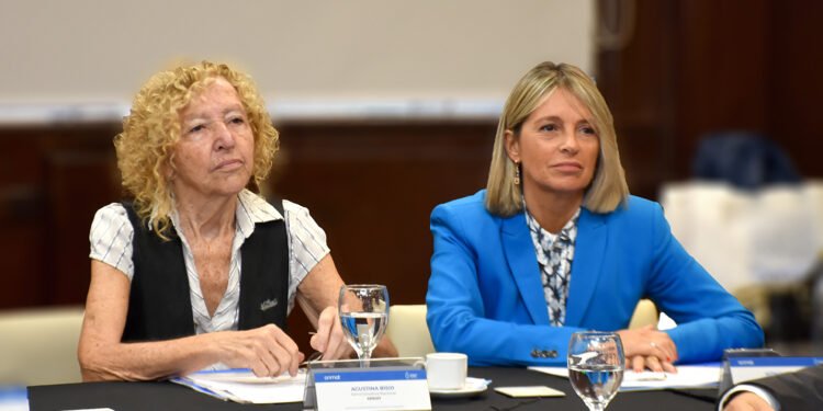 Fentanilo: ex directora de la ANMAT solicita ampliar su declaración