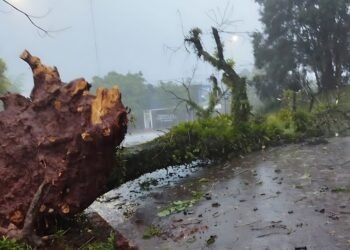 Alerta meteorológica por lluvias, tormentas, nevadas y vientos de hasta 100 km/h en seis provincias
