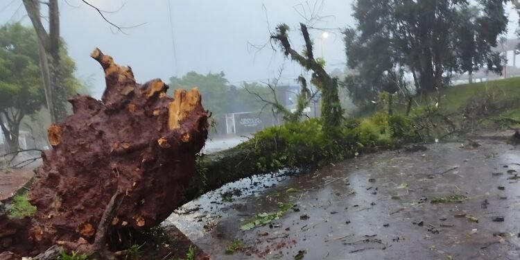 Alerta meteorológica por lluvias, tormentas, nevadas y vientos de hasta 100 km/h en seis provincias