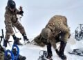 Milei y Trump en el centro de la polémica por ejercicios militares en Tierra del Fuego