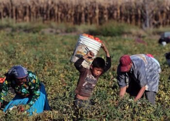 Amenaza a empleos en el sector rural