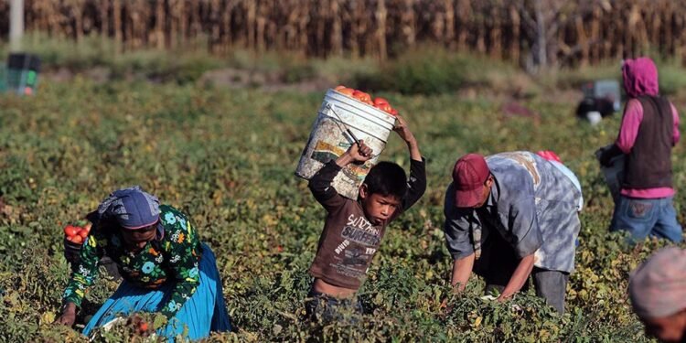 Amenaza a empleos en el sector rural