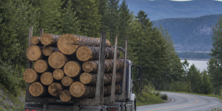 Empresas forestales impulsan reformas para reducir costos de transporte