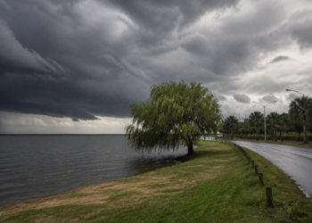 Alerta amarilla por tormentas en varias provincias del noreste argentino