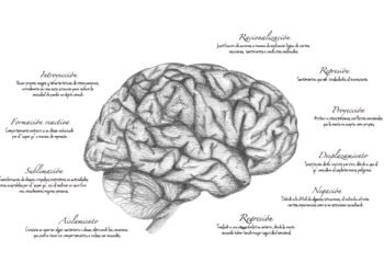 Impacto de las malas noticias en la salud mental: la respuesta de defensa del cerebro