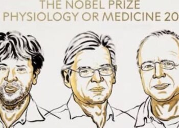 La optogenética: descubrimiento que revolucionó la neurociencia y recibió el Premio Nobel de Medicina 2026