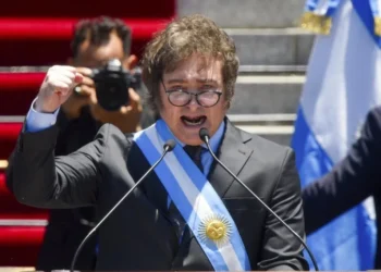 Milei y la desconexión con la realidad económica