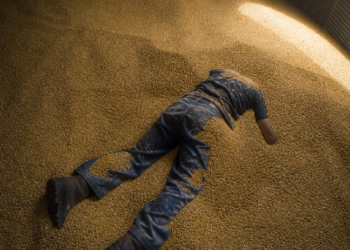 Lincoln: un hombre de 32 años falleció aplastado por una avalancha de maíz en un silo