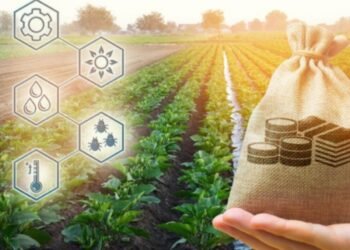 La incertidumbre electoral de 2027 afecta significativamente la inversión agropecuaria