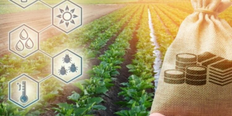 La incertidumbre electoral de 2027 afecta significativamente la inversión agropecuaria