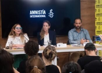 Amnistía Internacional elevará una denuncia contra Milei por sus ataques a la prensa